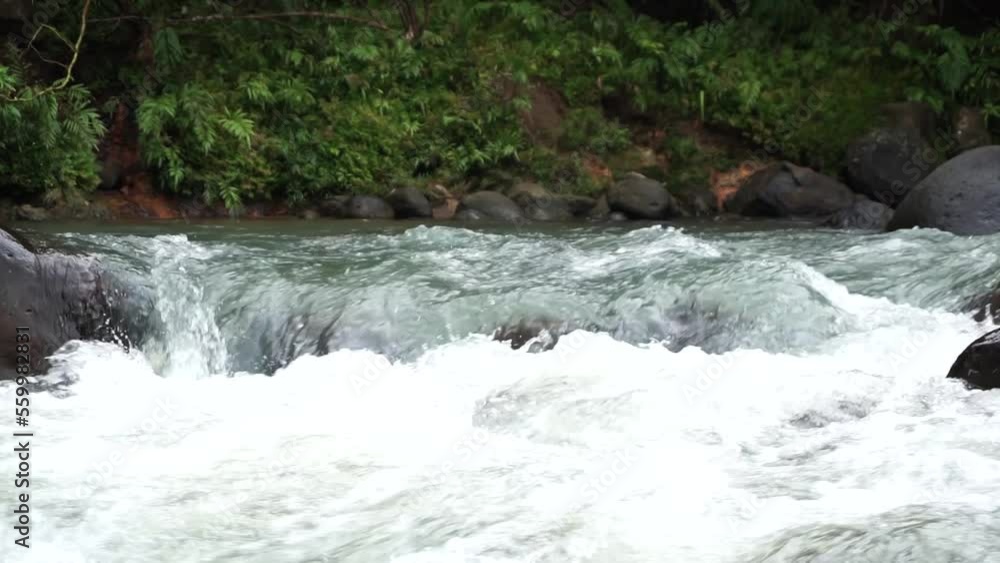 River stream with mountain rocks. River and stones with forest landscape