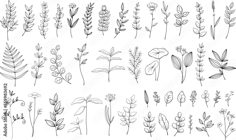 繊細な植物や花のボタニカル線画セット ベクター素材 繊細な植物や花のボタニカル線画セット ベクター素材