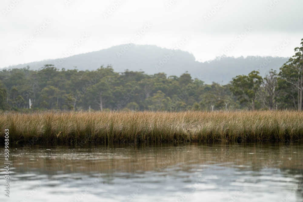 canoeing and kayaking on a river in Australia