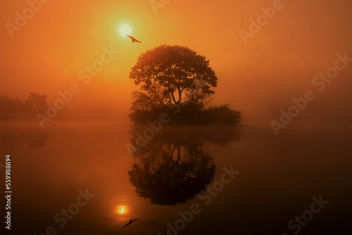 sunrise over the lake