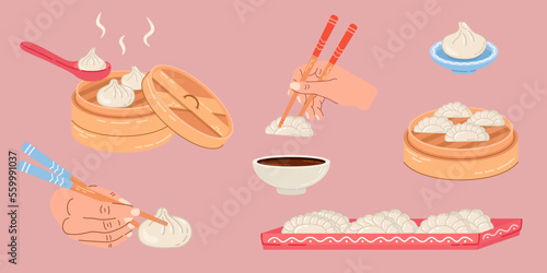 Set illustrations of Chinese national dish dumplings.