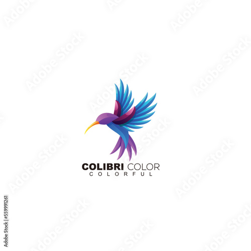 colibri colorful logo template design gradient