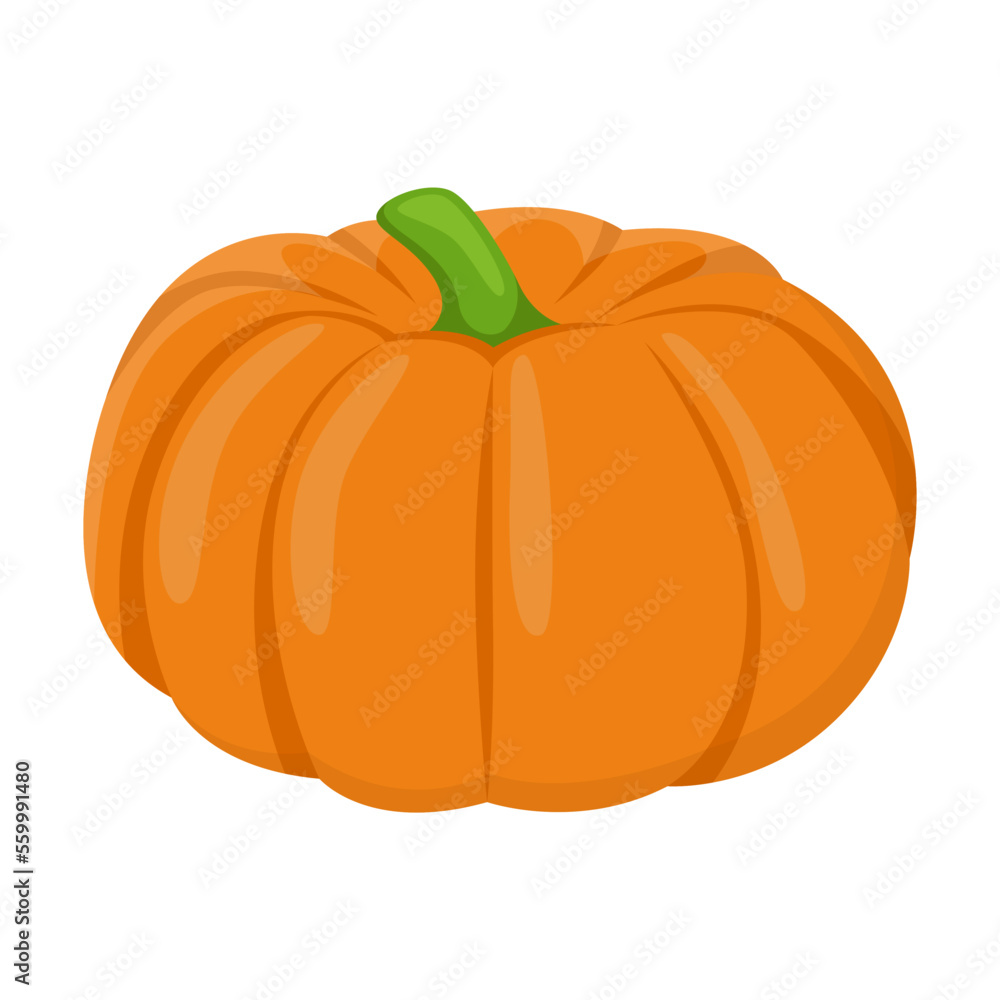 Cartoon drawing of ripe orange pumpkin isolated on white background. Colorful vegetable vector illustration. Organic food, health concept Cartoon drawing of ripe orange pumpkin isolated on white background. Colorful vegetable vector illustration. Organic food, health concept