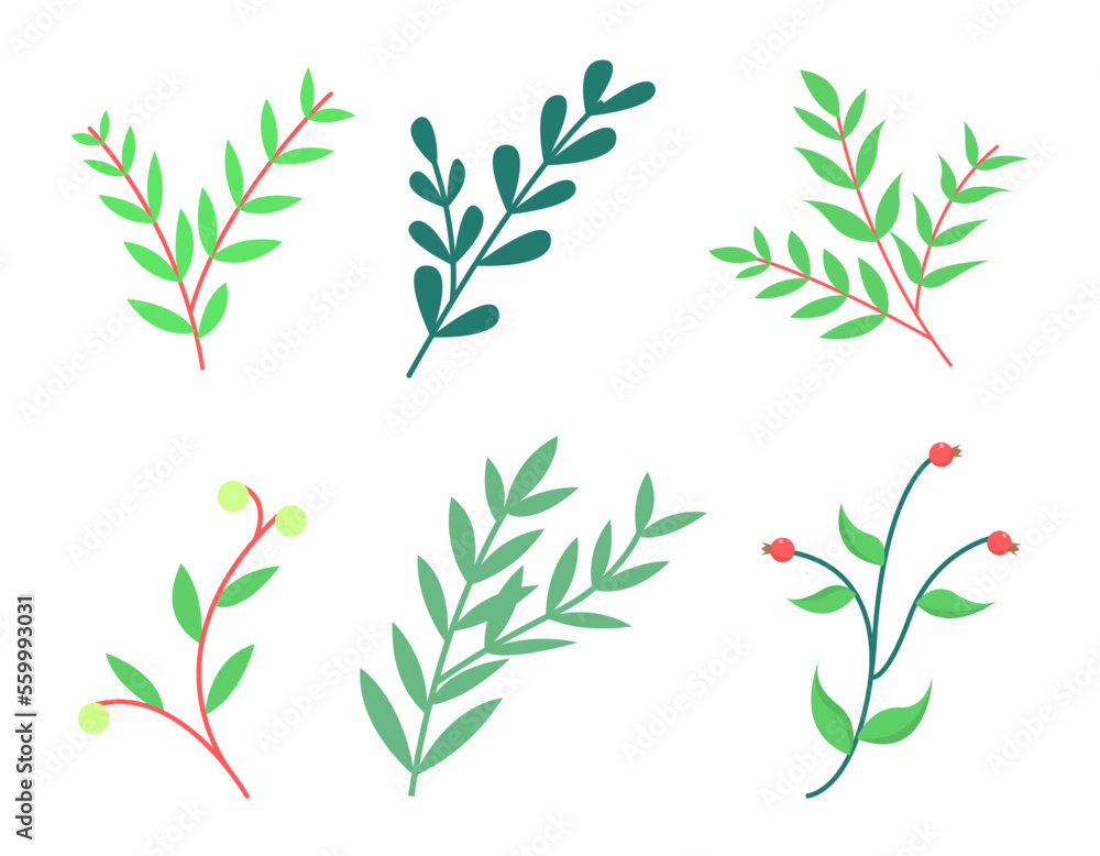 Fototapeta premium Set of hand drawn cute green plant stem, floral branches, twigs elements