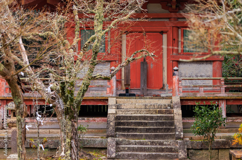 Paper omikuji prayers on bare winter trees at ancient Japanese shrine photo