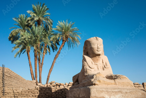 Sphinx statue near Luxor temple on Avenue of Sphinxes, palm trees and blue sky, ancient Egypt monument