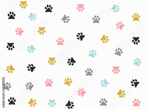 Cute colorful kitten pow pattern design