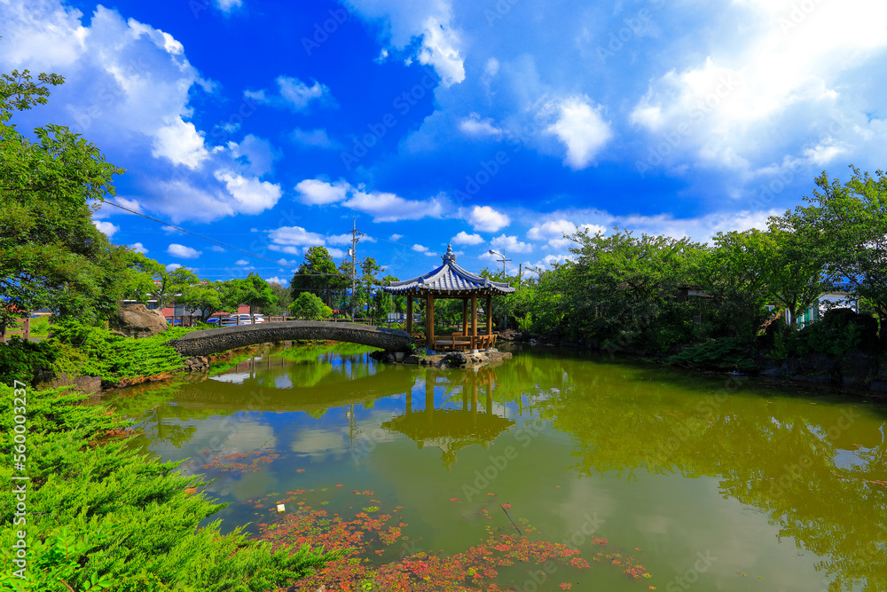 Obraz premium 대한민국 제주도에 있는 넓은못 이라 부르는 연못의 아름다운 풍경이다.