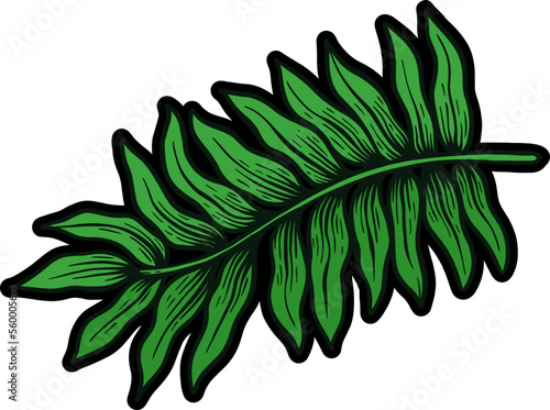 Hand Drawing Tropical Leaf 