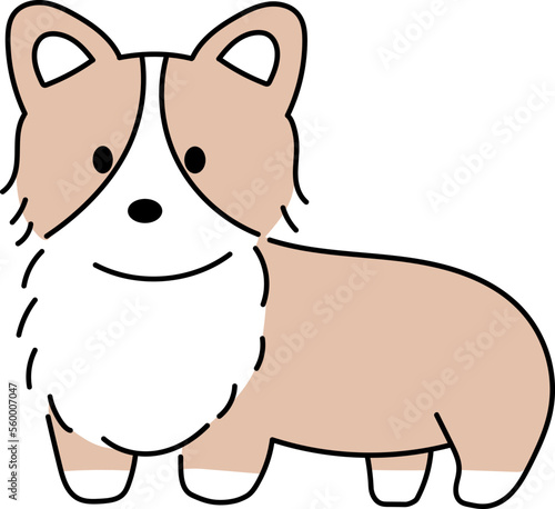 ほっこりかわいい全身コーギー