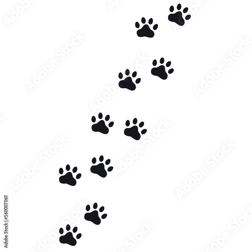 Silhouette of cat paws. Paw prints. The dog and cat puppy icon. Traces of a pet. The puppy s paws are highlighted on a white background.