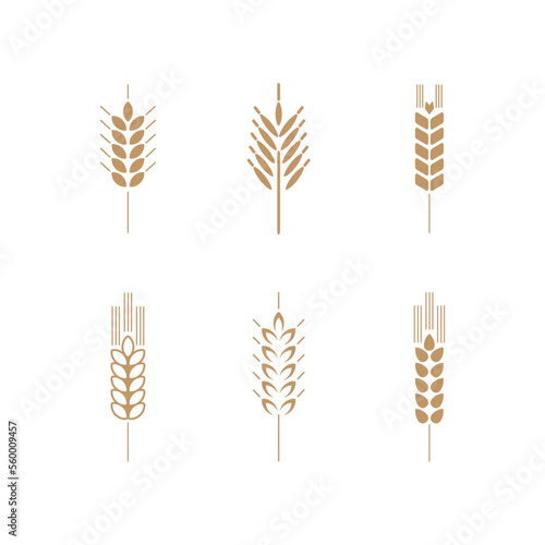 Wheat branches icon set