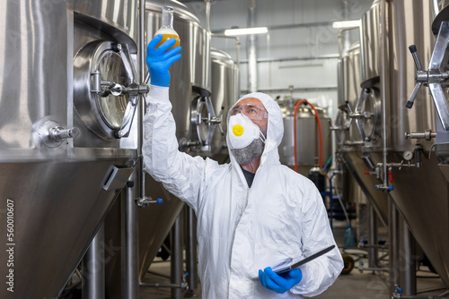 Brewer performing a visual quality control of fresh beer