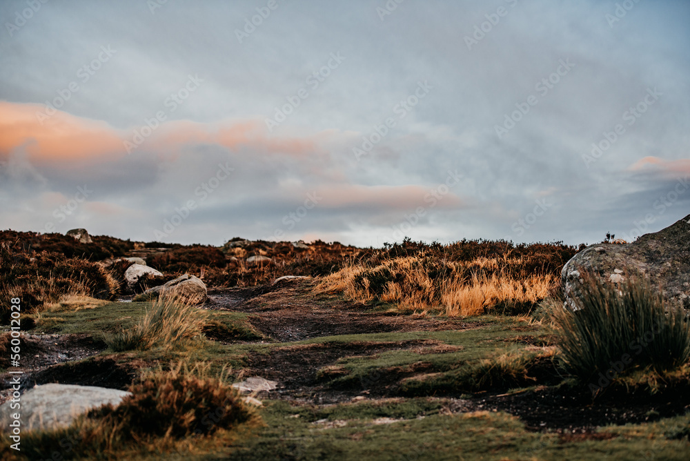 Fototapeta premium Irland Wicklow Mountains Roadtrip