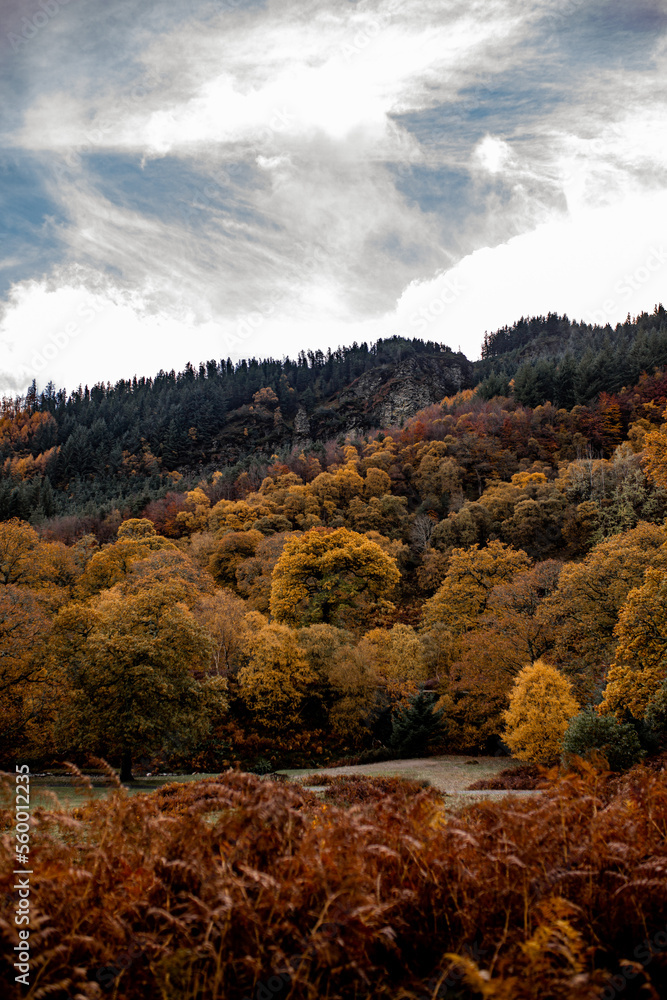 Fototapeta premium Irland Wicklow Mountains Roadtrip