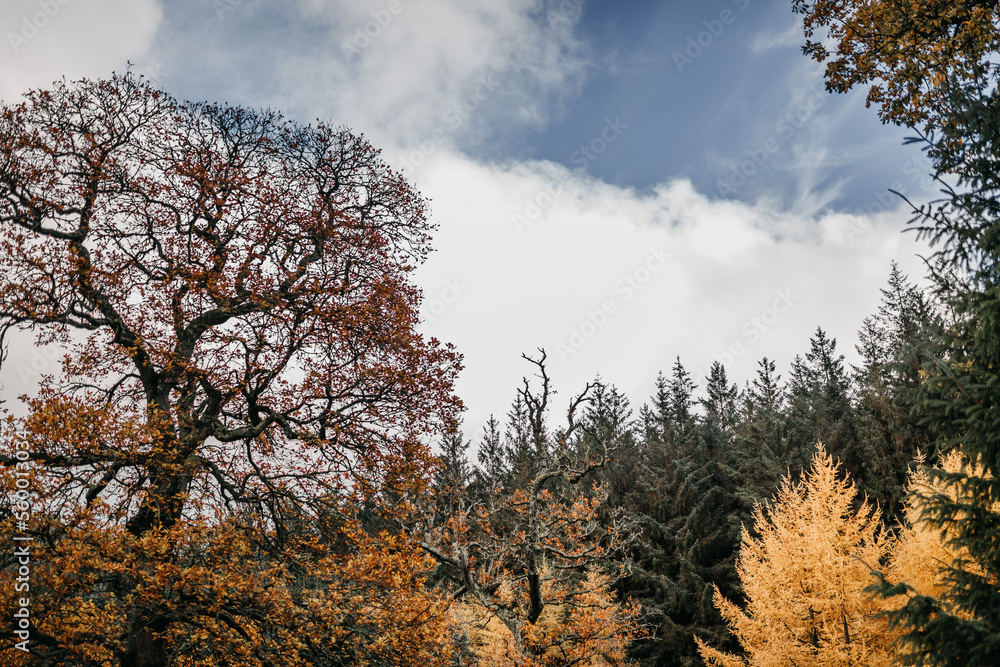 Fototapeta premium Irland Wicklow Mountains Roadtrip