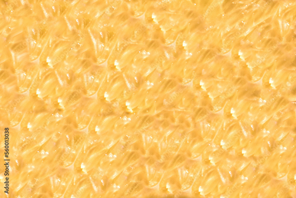 Citrus background, abstract citrus background Citrus background, abstract citrus background