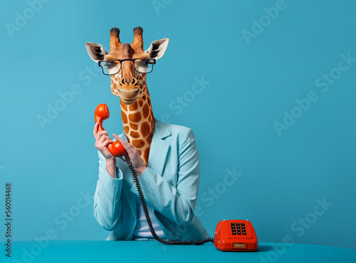  Business giraffe talking over the phone over a blue background, concept. AI elements used.   © Tijana