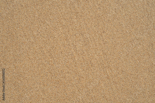 Background with coastal sand. A well-groomed shore with clean yellow sand.