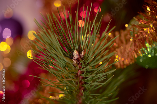 Christmas toy hanging on the Christmas tree for the new year