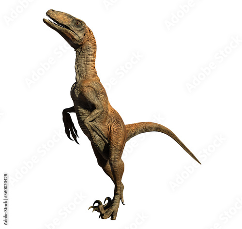 Velociraptor dinosaur jurassic © david