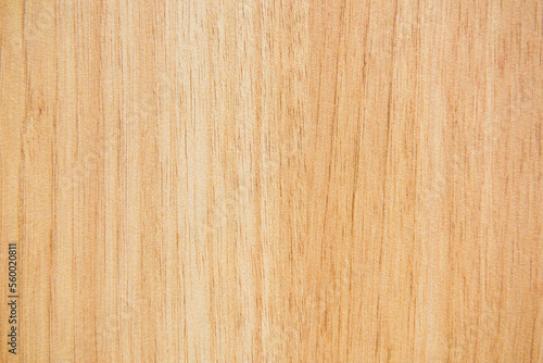 wood texture  abstract wooden background