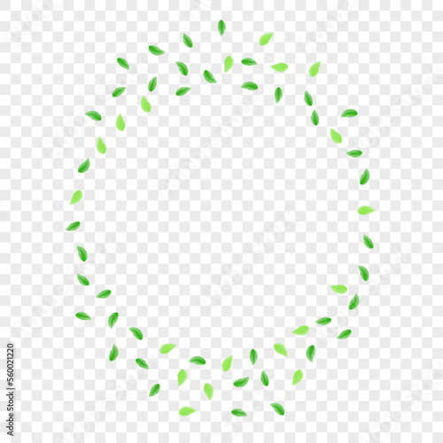 Light Green Vegetation Background Transparent Vector. Foliage Nature Illustration. Organic Card. Greenish Life Design. Greenery Twig.