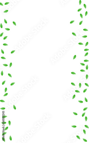 Green Plant Background White Vector. Leaf Pattern Frame. Wind Card. Greenish Refreshing Illustration. Sheet Twig.