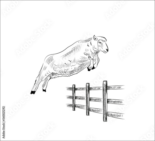 Hand-drawn sketch of sheep jumping over the fence on