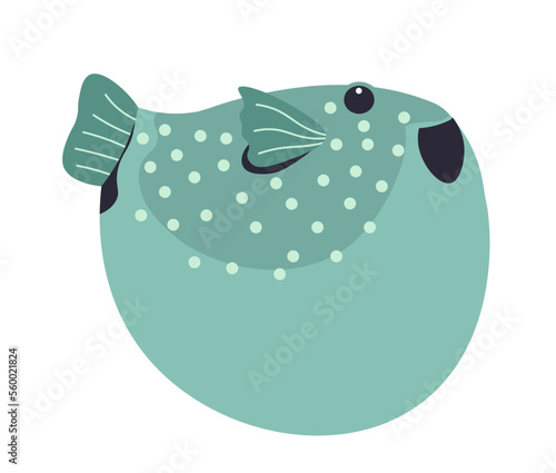 Puffer fish, underwater and sealife aquarium