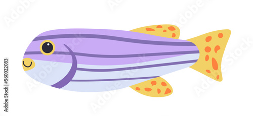 Neon tetra fish exotic and tropical aquatic animal