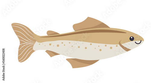 Fish with scale and fins, tropical species vector