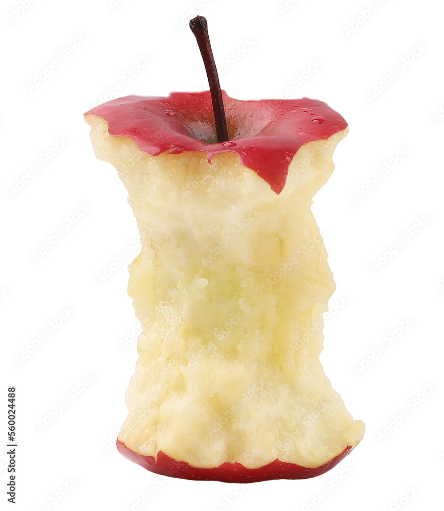 custom made wallpaper toronto digitalApple core, transparent background