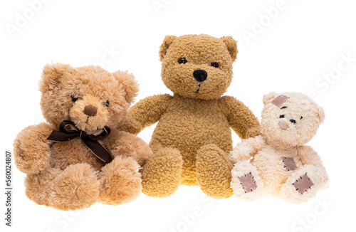 toys bears isolated