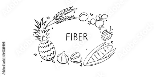 Fiber-containing food. Groups of healthy products containing vitamins and minerals. Set of fruits, vegetables, meats, fish and dairy