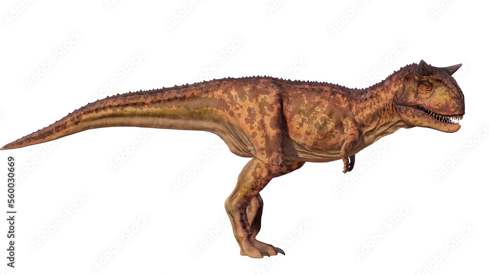 Carnotaurus dinosaur roaring on a blank background PNG ultra high resolution Carnotaurus dinosaur roaring on a blank background PNG ultra high resolution