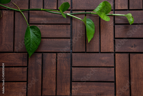 Exterior outdoor wooden decking or flooring with greenery plant background. Background use concept. Top view flat lay copy space.