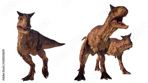 Carnotaurus dinosaur roaring on a blank background PNG ultra high resolution