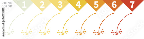 Urine color chart with gradients from clear to yellow and orange and even darker. An indicator of the degree of dehydration. Vector illustration.