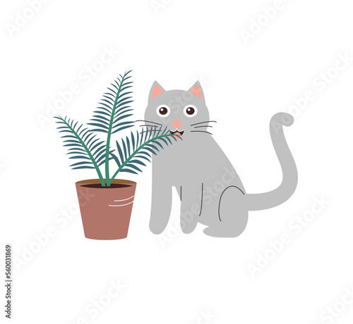 Funny gray cat eats house plant.