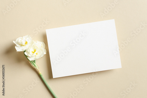 Blank greeting or invitation card mockup with daffodils