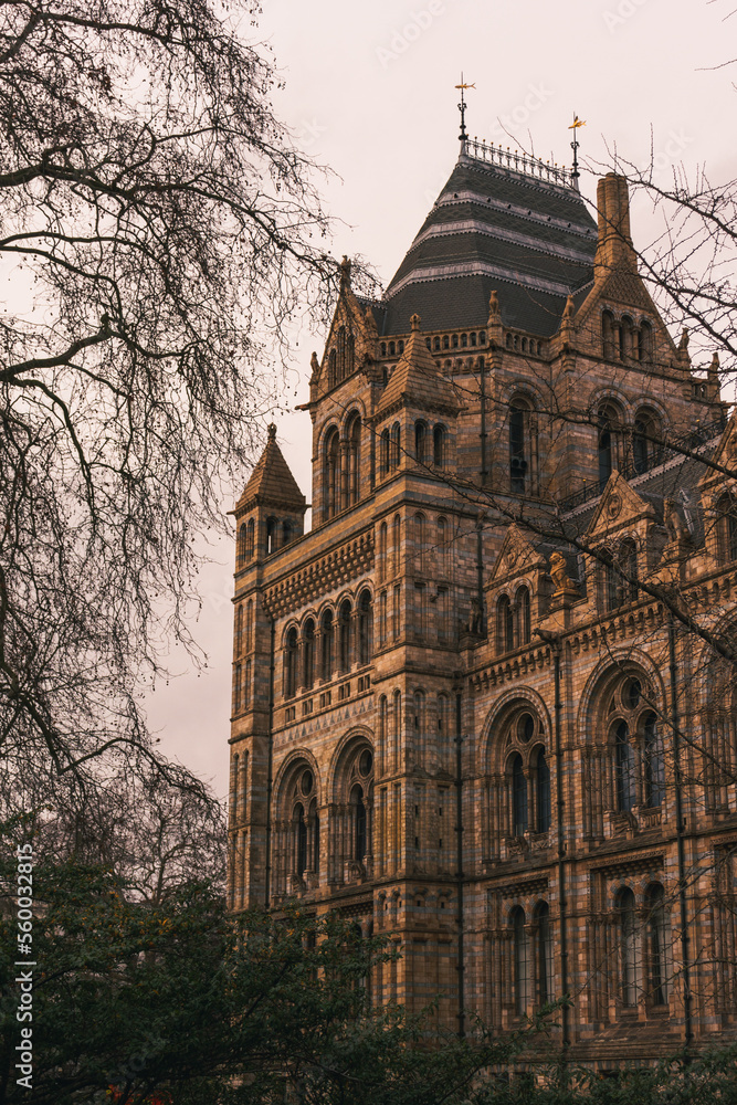 Arquitectura Natural History Museum Arquitectura Natural History Museum