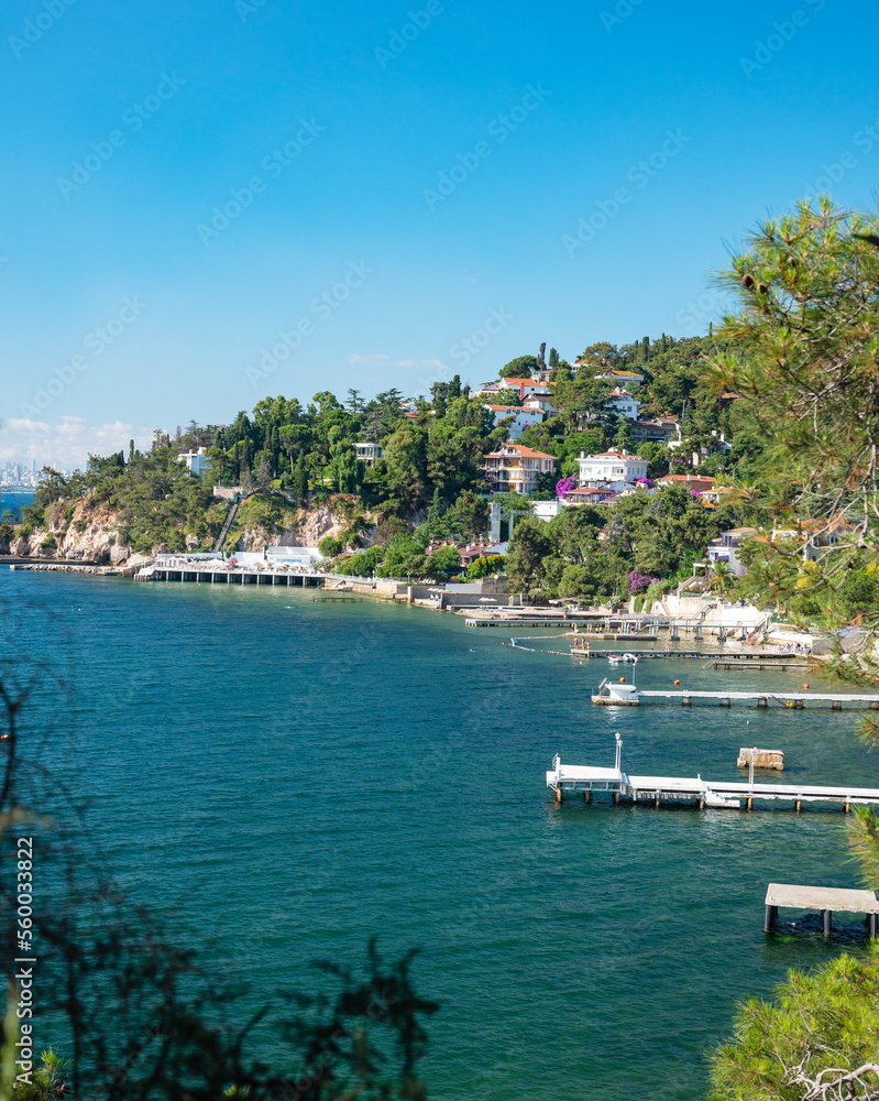 Beautiful panoramic view of the Black Sea, marina with yachts and the city in the background. Rocky coast with trees and pines on a sunny summer day.