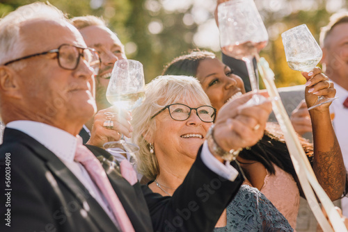 Smiling friends and family toasting wineglasses celebrating during wedding on sunny day photo