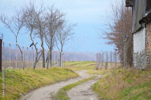 unpaved road. road in a village with a succession of curves.