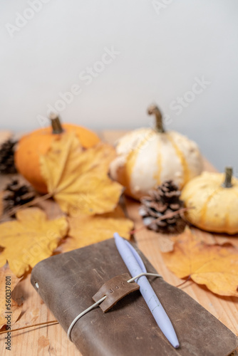 autumn leaves journal journalling with a midori