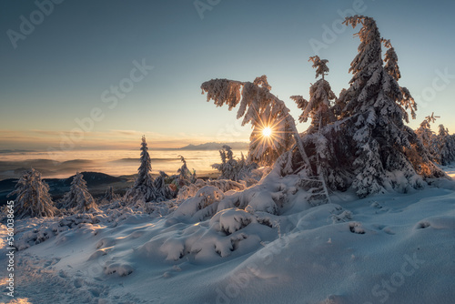 Fototapeta Naklejka Na Ścianę i Meble -  Beskidy - Pilsko