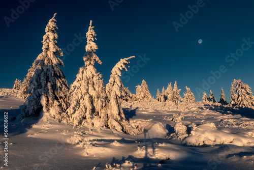 Fototapeta Naklejka Na Ścianę i Meble -  Beskidy - Pilsko
