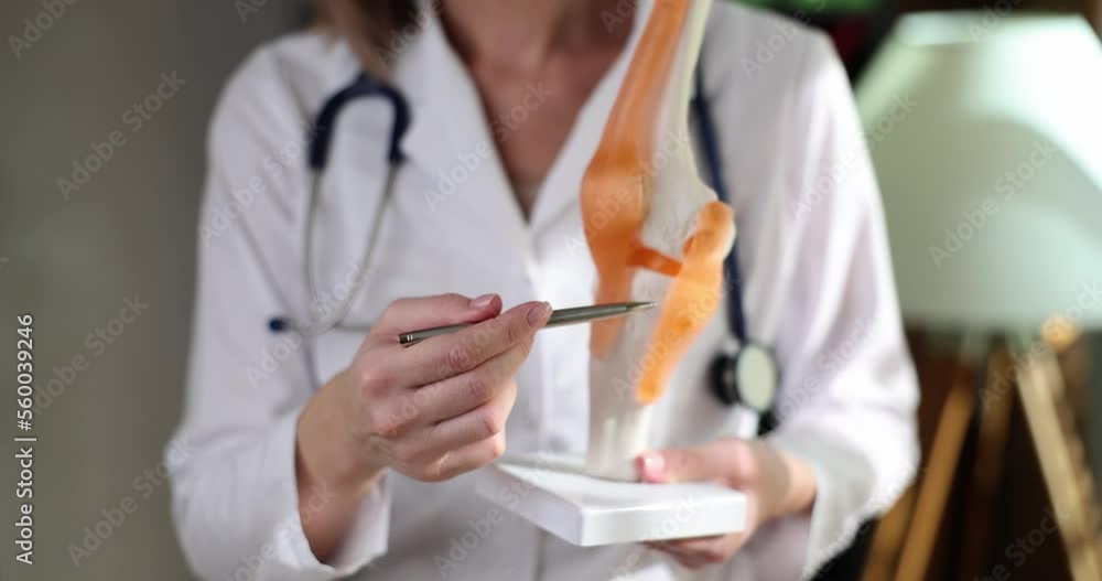 Orthopedic doctor pointing at knee joint anatomy model Stock Video ...