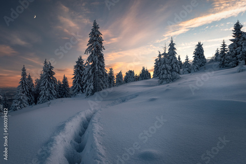 Beskidy zimą